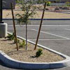 Island Pavers - concrete work and paving